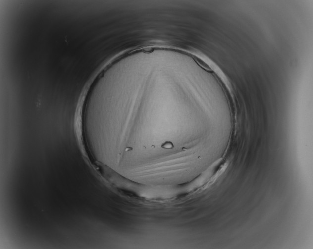 X0000087521341200705181005