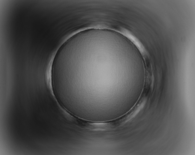 X0000087521343200705181005