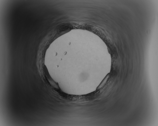 X0000087521345200705181005