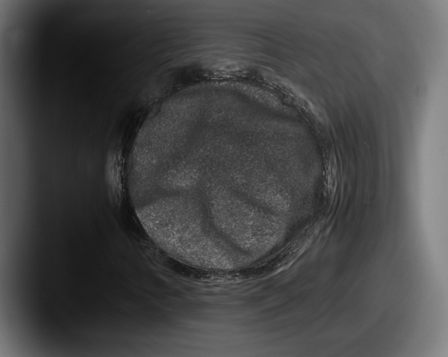 X0000087521346200705181005