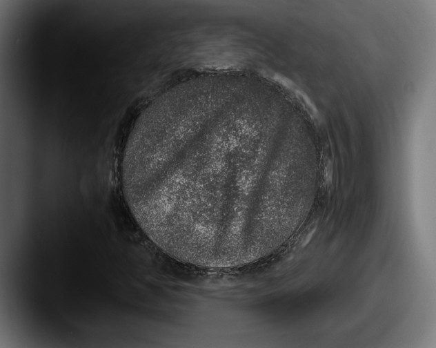 X0000087521350200705181005