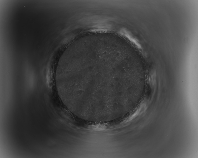 X0000087521351200705181005