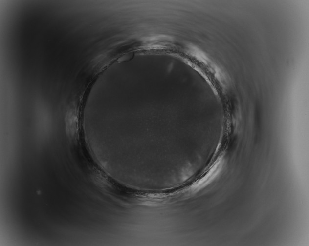 X0000087521353200705181005