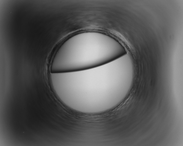 X0000087521356200705181005