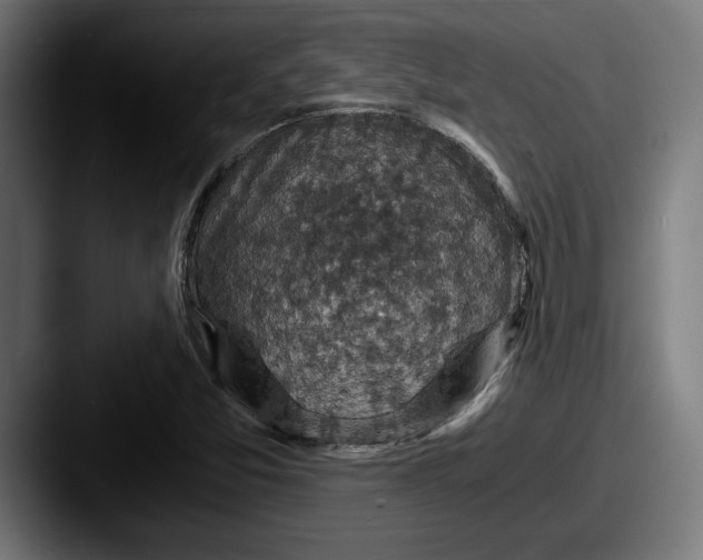 X0000087521357200705181005