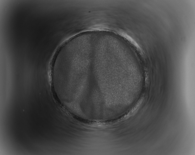 X0000087521358200705181005