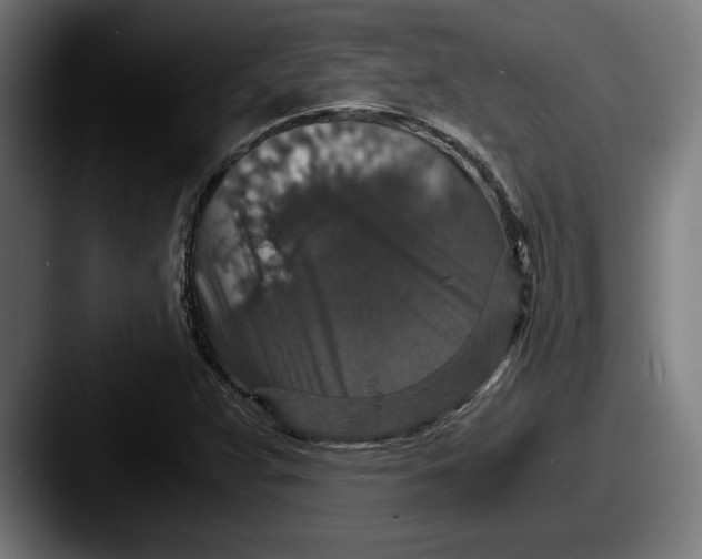 X0000087521359200705181005