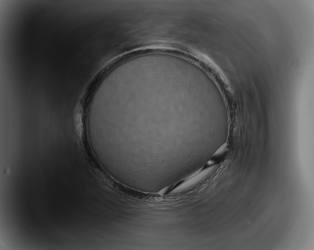 X0000087521360200705181005