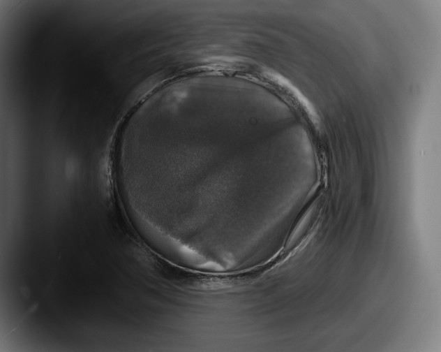 X0000087521362200705181005