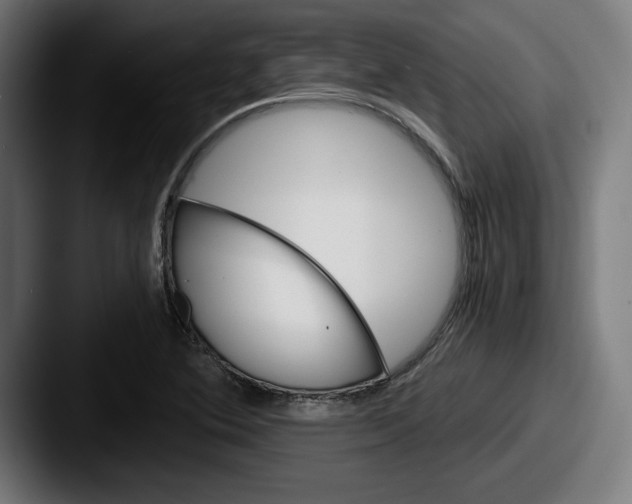 X0000087521364200705181005