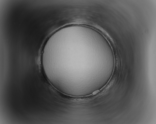 X0000087521366200705181005