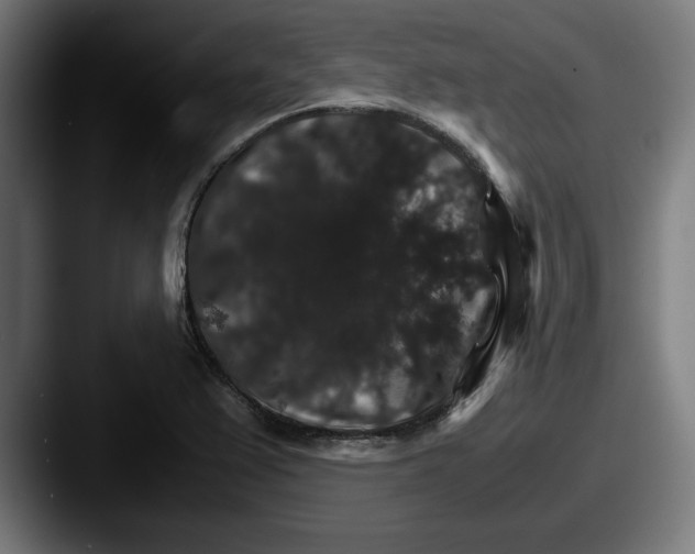 X0000087521367200705181005