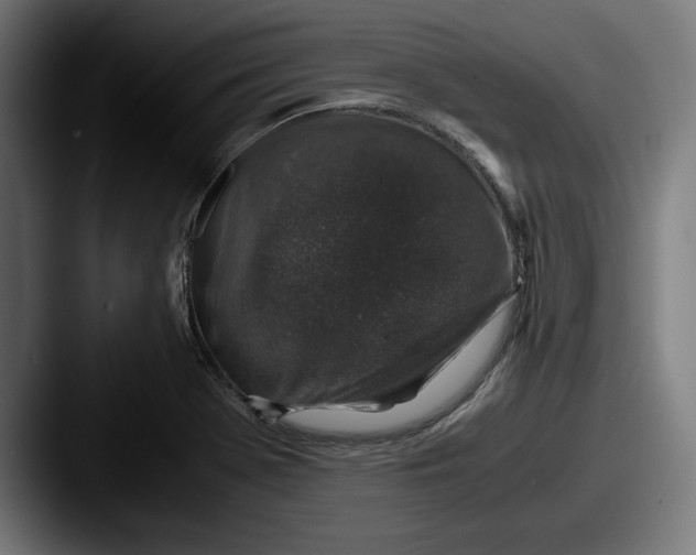 X0000087521369200705181005