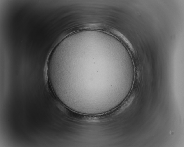 X0000087521370200705181004