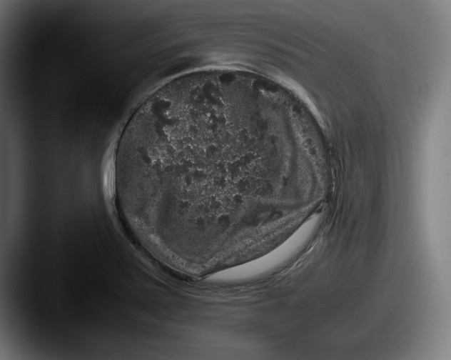 X0000087521371200705181004