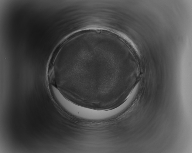 X0000087521372200705181004