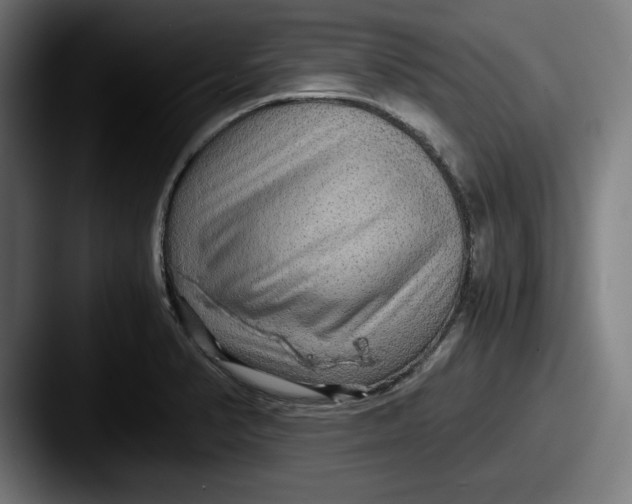 X0000087521374200705181004