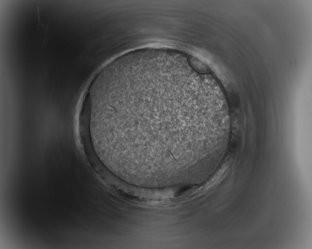 X0000087521375200705181004