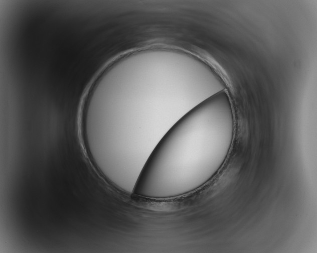 X0000087521376200705181004