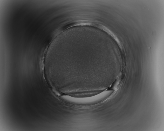 X0000087521377200705181004