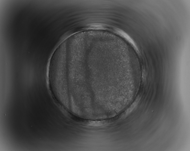 X0000087521378200705181004