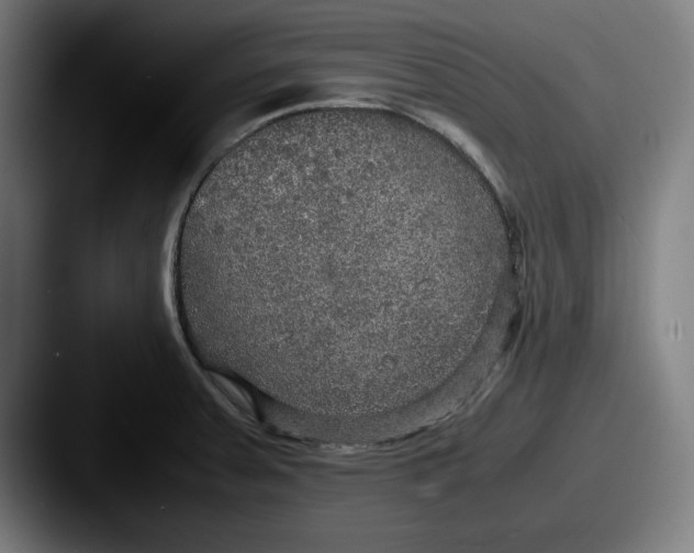 X0000087521379200705181004