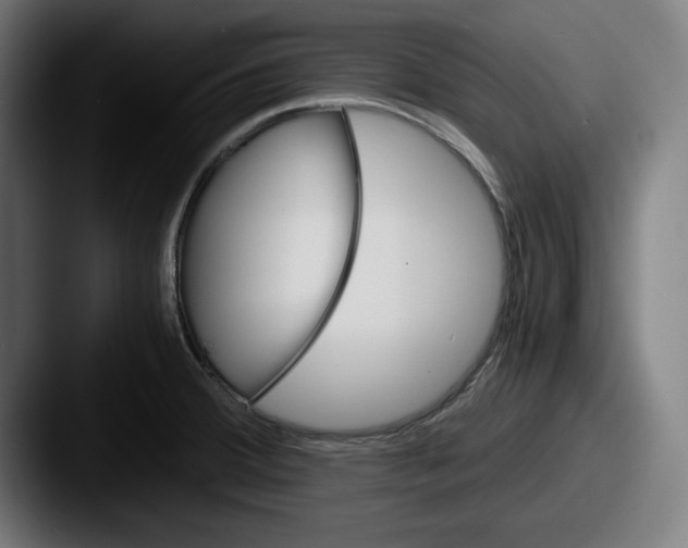 X0000087521380200705181004