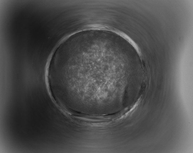 X0000087521381200705181004