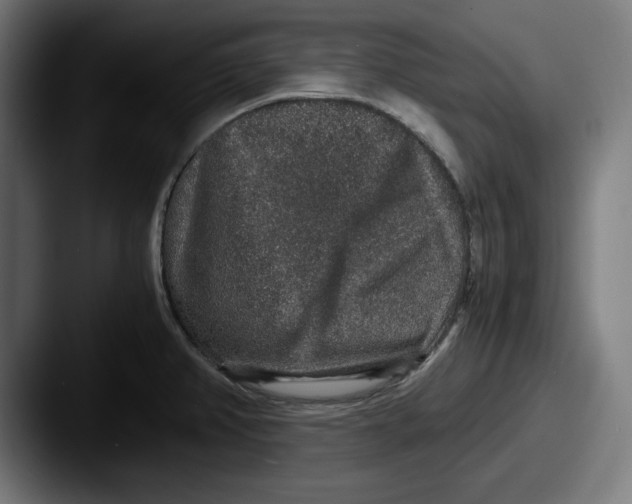 X0000087521382200705181004