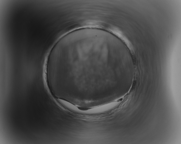 X0000087521383200705181004