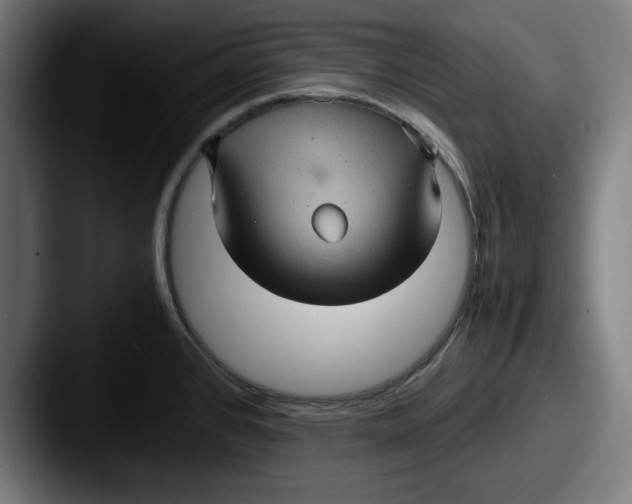 X0000087521384200705181004