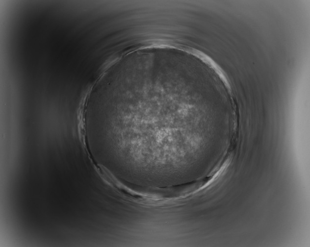 X0000087521385200705181004