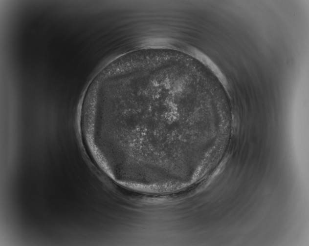 X0000087521386200705181004