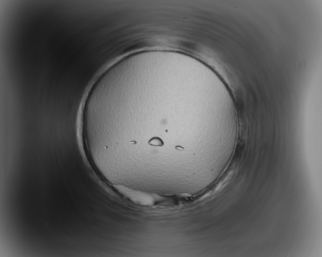 X0000087521387200705181004