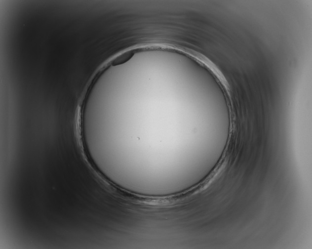 X0000087521388200705181004