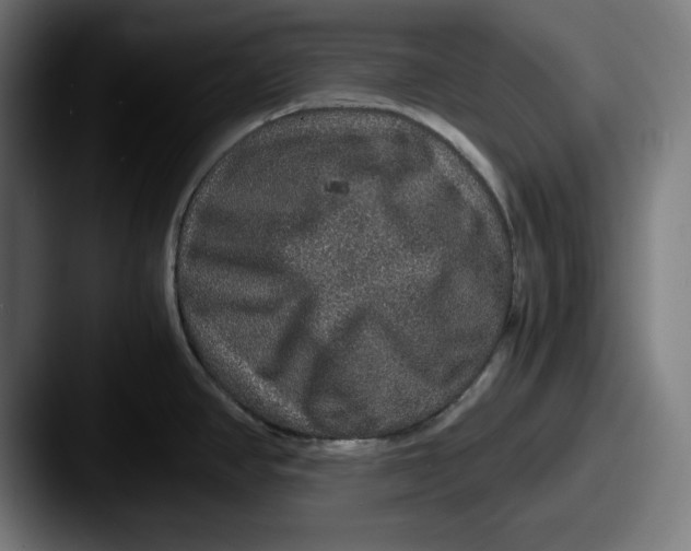 X0000087521390200705181004