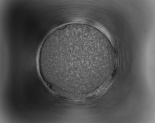 X0000087521391200705181004