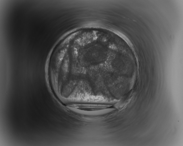 X0000087521392200705181004