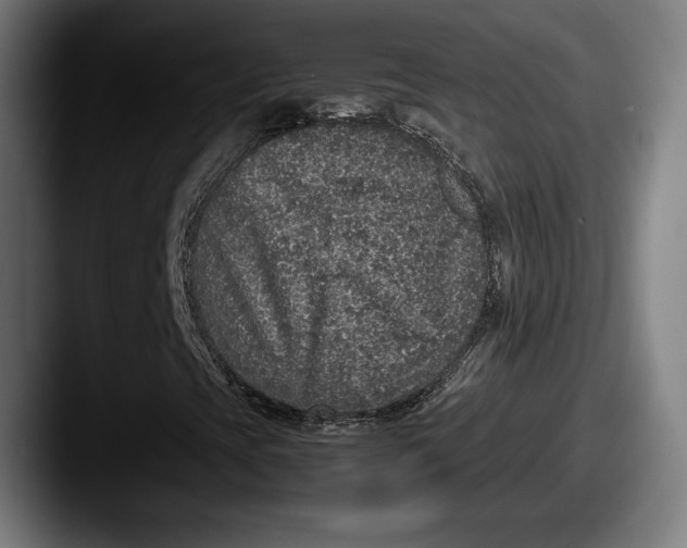 X0000087521393200705181004