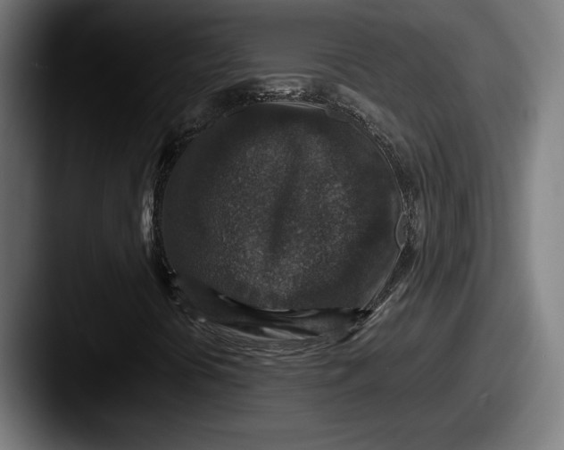 X0000087521394200705181004