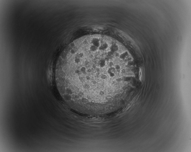 X0000087521395200705181004