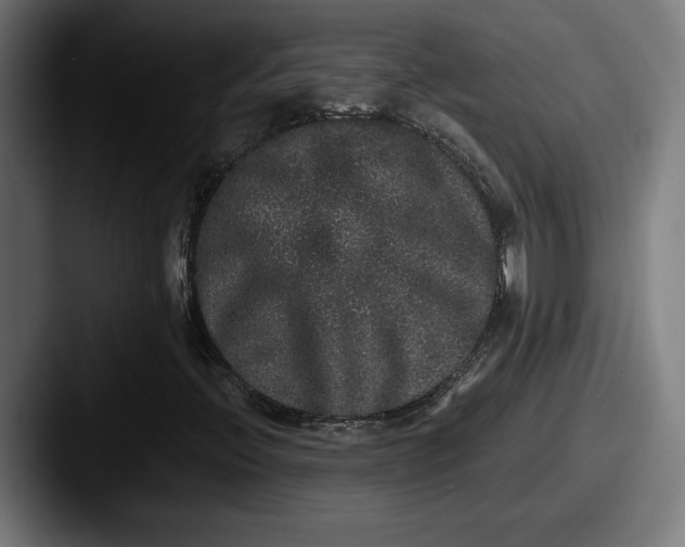 X0000087521396200705181004