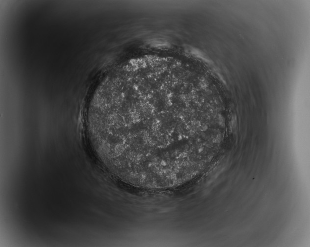 X0000087521397200705181004