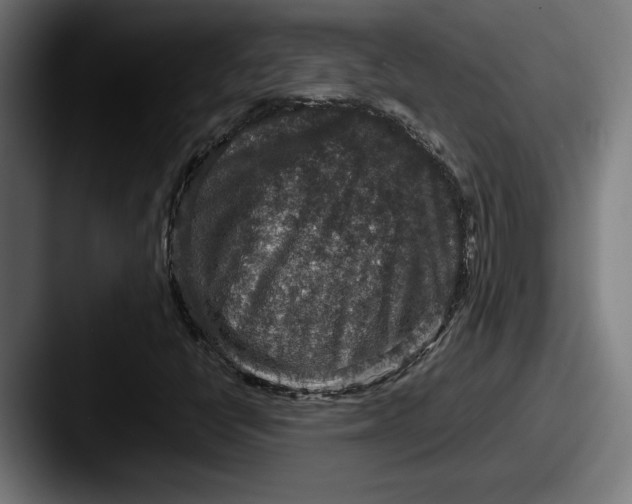 X0000087521398200705181004