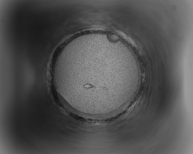 X0000087521400200705181004