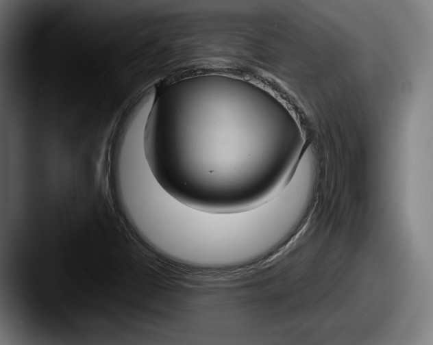 X0000087521402200705181004