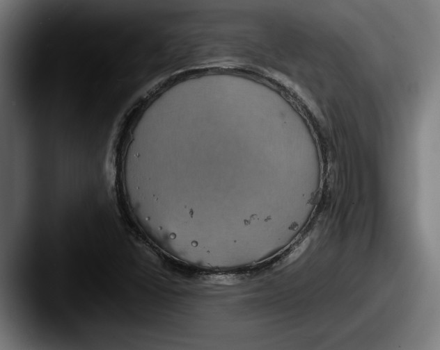 X0000087521406200705181004