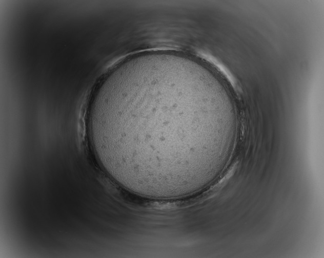 X0000087521407200705181004