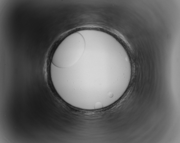 X0000087521408200705181004