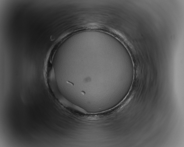 X0000087521410200705181004